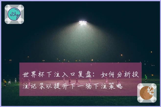 世界杯下注入口复盘：如何分析投注记录以提升下一场下注策略