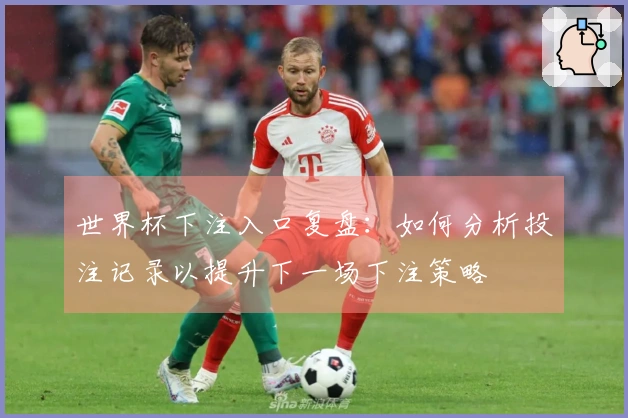 世界杯下注入口复盘:如何分析投注记录以提升下一场下注策略