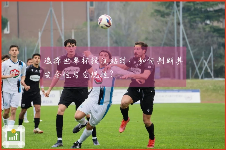选择世界杯投注站时，如何判断其安全性与合规性？